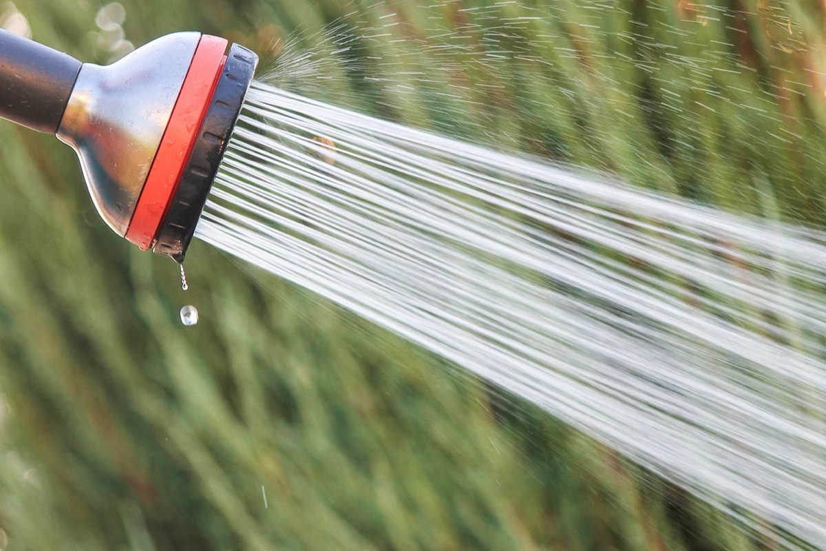 Close-up of an outdoor shower head spraying hot water at a campsite, showing the flow from a portable propane tankless water heater setup